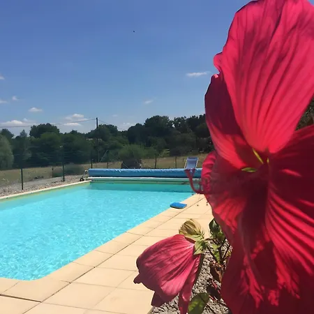 14 Pers Piscine A * סרלה-לה קנדה